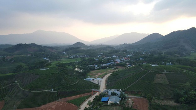 travina7-1748737148.jpg