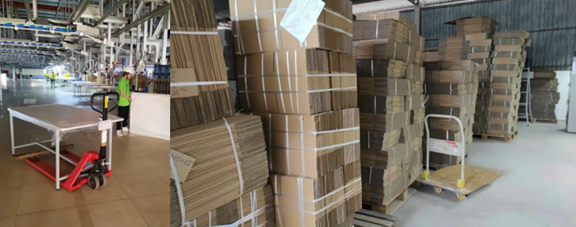 tong-giam-doc-tran-thi-tho-4-1750669175.png