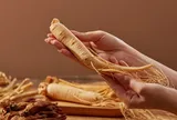 Nhân sâm trong đời sống hiện đại: Từ dược liệu truyền thống đến xu hướng tiêu dùng mới