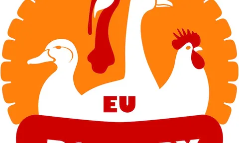 Việt Nam siết chặt quy định – Gia tăng sự quan tâm đối với thịt gia cầm chất lượng cao