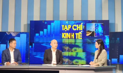 CEO Ninh Lê Sơn Hải: “Thị trường đang chuyển từ trò chơi của tốc độ sang cuộc đua của sự bền bỉ”