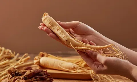 Nhân sâm trong đời sống hiện đại: Từ dược liệu truyền thống đến xu hướng tiêu dùng mới