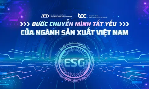 Bảo vệ quyền sở hữu trí tuệ: Yếu tố sống còn của doanh nghiệp