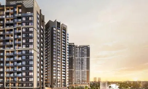 Giải mã DNA của Masteri Cosmo Central: Nơi hội tụ của những "tắc kè hoa" tài năng và đa bản sắc