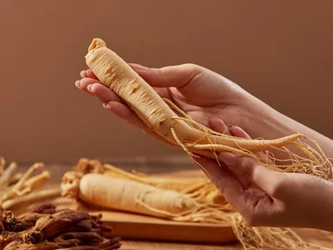 Nhân sâm trong đời sống hiện đại: Từ dược liệu truyền thống đến xu hướng tiêu dùng mới