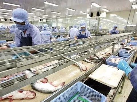 Đơn hàng gia tăng, xuất khẩu thủy sản quý IV có thể đạt 2,4 tỷ USD