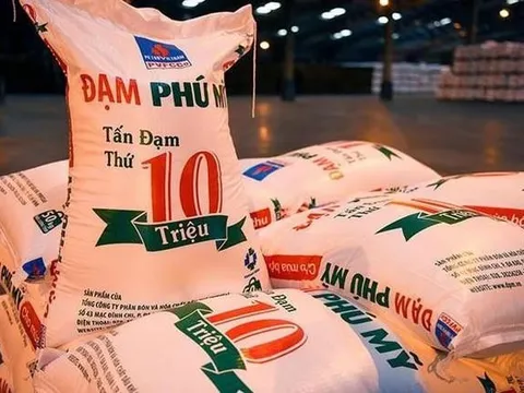 Vì sao lãi sau thuế quý 3 của Đạm Phú Mỹ (DPM) "bốc hơi" đến 93%?