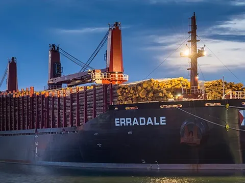 Một tập đoàn toàn cầu sẽ mở rộng hoạt động đầu tư vào Việt Nam, tâm điểm là các lĩnh vực này