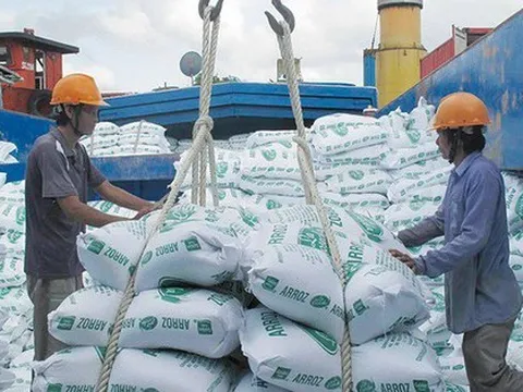 Gạo Việt lập kỷ lục lịch sử sau 34 năm tham gia 'sân chơi' thế giới