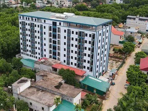 Cắt ngọn và cắt gốc