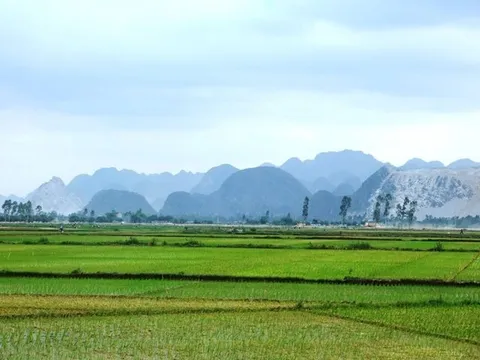 Mua đất nông nghiệp có được chuyển nhượng “sổ đỏ”?