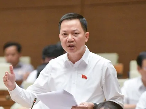 “Thao túng trong thị trường bất động sản rất tinh vi”