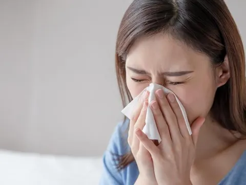 Chậm nộp báo cáo tài chính quý 3, SJF cho biết do nhân viên bị sốt xuất huyết