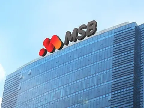 11 cổ đông nắm giữ 35% vốn MSB