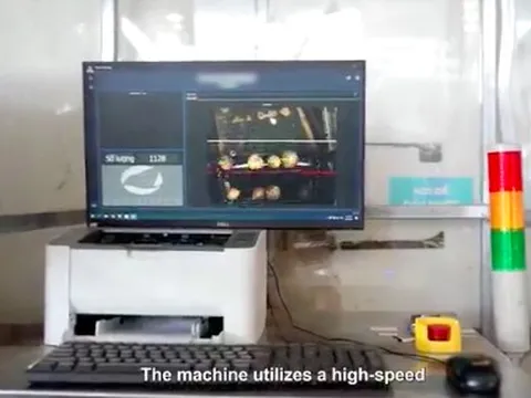 Chuyển đổi số từ tài chính tới... trái dừa: UOB tự gửi email chứa mã độc để kiểm tra nhân viên, Betrimex có hệ thống tự động đếm hàng chục trái dừa mỗi giờ, không cần kiểm lại