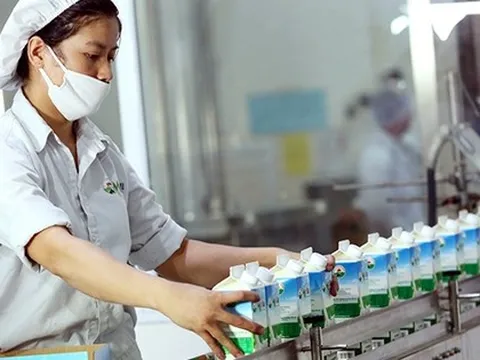 Mới lên sàn HoSE, Mộc Châu Milk báo lãi ròng quý II/2024 giảm 39%