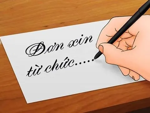 Làn sóng ồ ạt từ nhiệm của Chủ tịch, TGĐ các doanh nghiệp lớn: Từ Vinaconex, Hà Đô, TTC AgriS… đến Lộc Trời, Dược Cửu Long, Dược Hậu Giang