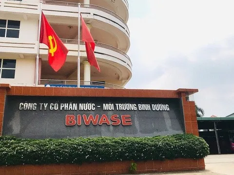 Lỗ chênh lệch tỉ giá kéo lùi lợi nhuận Biwase