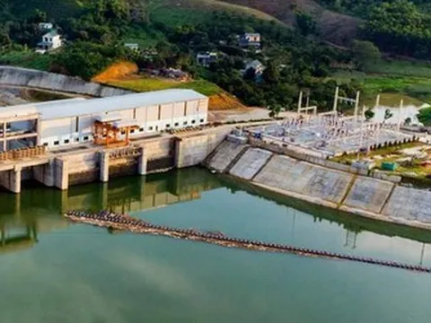 Hệ sinh thái đi lên từ "con nước" của doanh nhân Trương Đình Lam