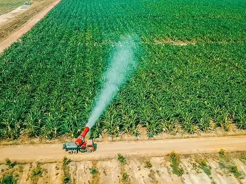 HAGL Agrico (HNG) bị hủy niêm yết bắt buộc