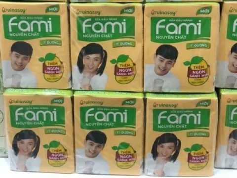Hơn 53% tài sản của chủ thương hiệu sữa Fami là tiền mặt