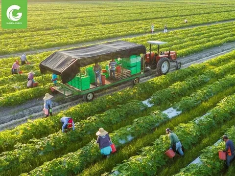 Xuất Khẩu Cần Bắt Kịp Xu Hướng Chính Sách Thương Mại Của EU