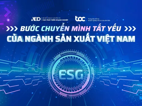 Bảo vệ quyền sở hữu trí tuệ: Yếu tố sống còn của doanh nghiệp