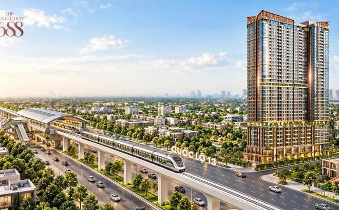 Hai mắt xích hướng đến phát triển bền vững của The Collection 688